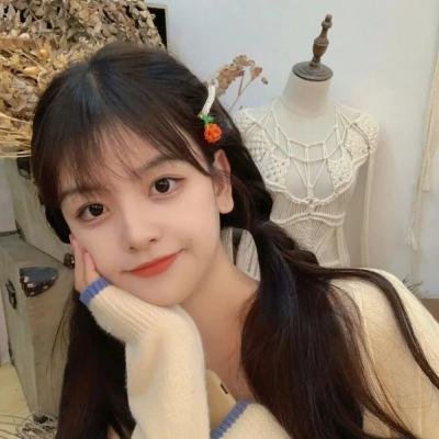 我的女官大人